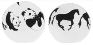 A black and white image of two animals.