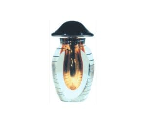 A clear glass vase with black lid and top.