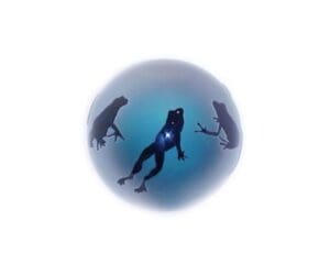 Three people in a blue ball of water.