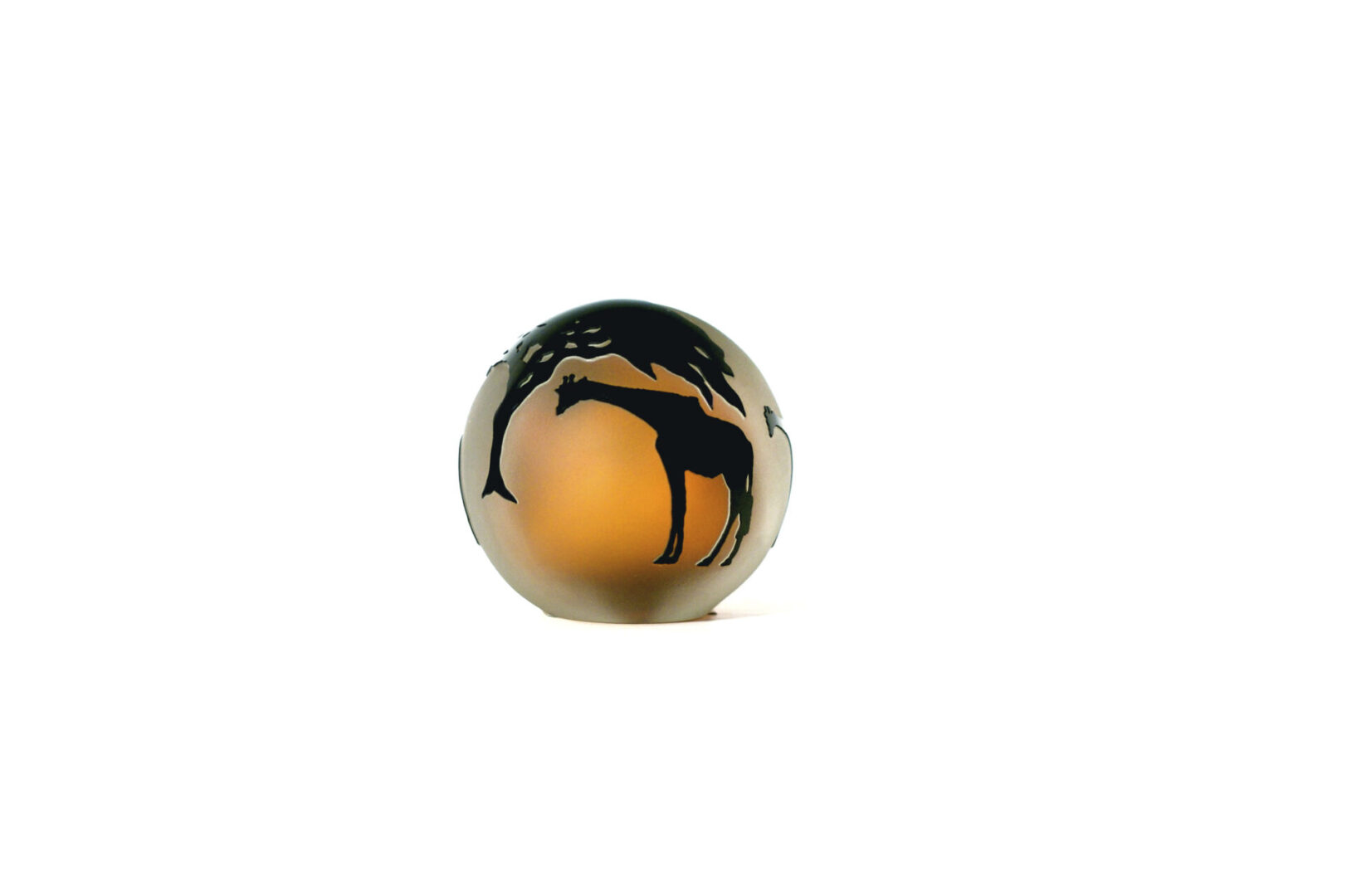 A ball with an image of a giraffe on it.
